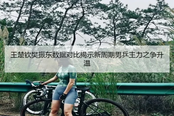 王楚钦樊振东数据对比揭示新周期男乒主力之争升温